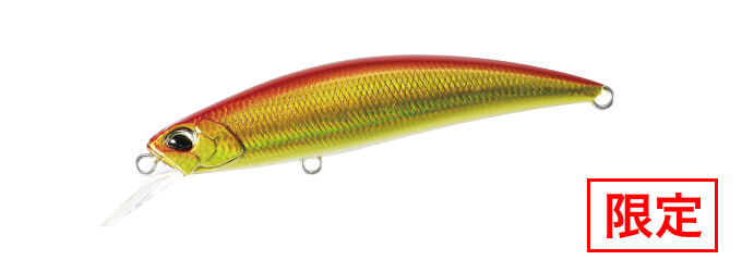 SPEAR HEAD RYUKI SW LIMITED - DUO