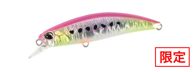 SPEAR HEAD RYUKI SW LIMITED - DUO