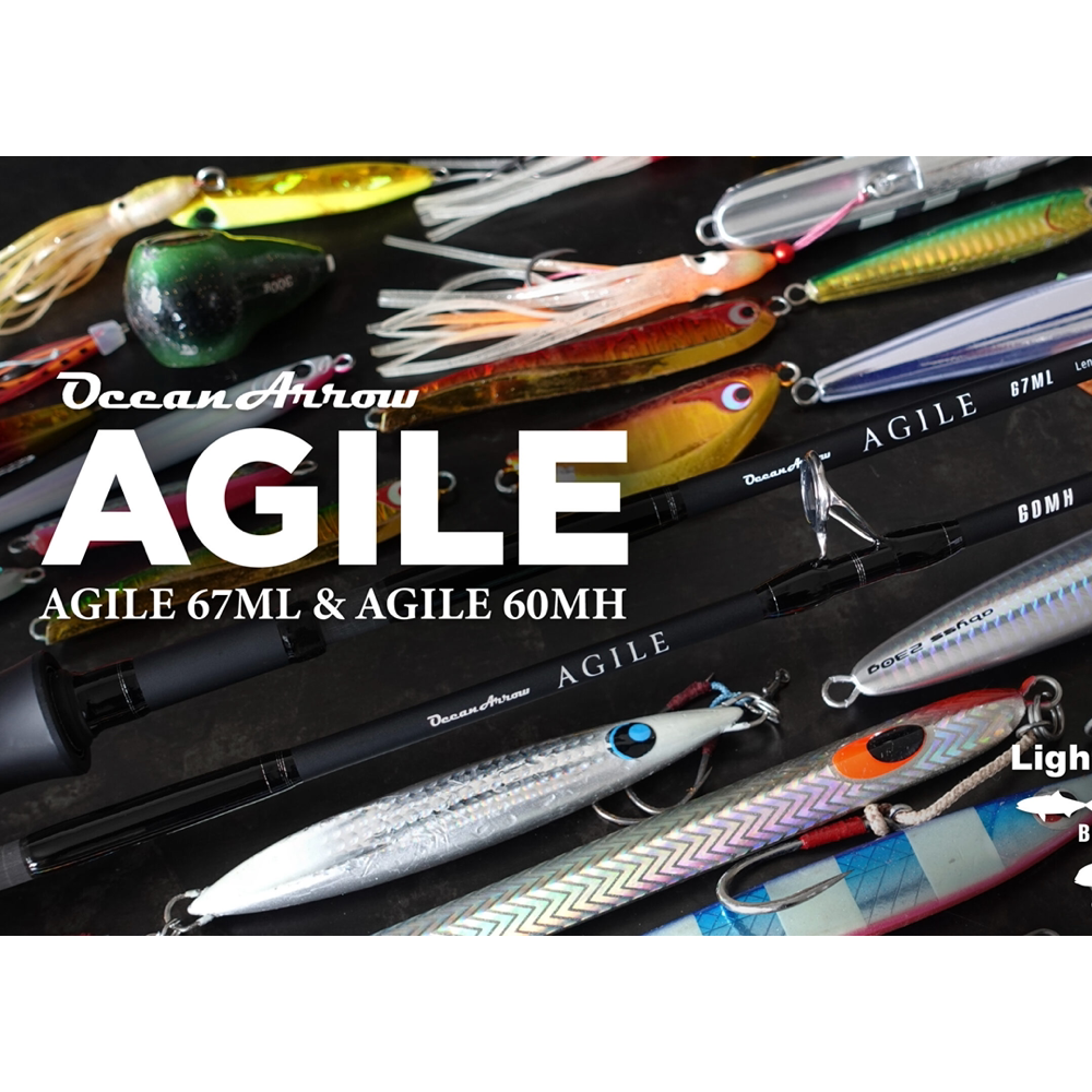AGILE - Ripple Fisher
