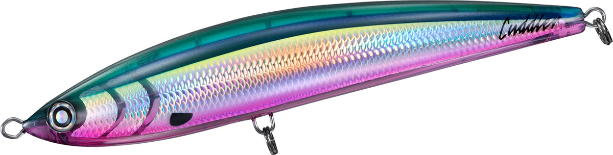 SALTIGA CUDDLER - DAIWA