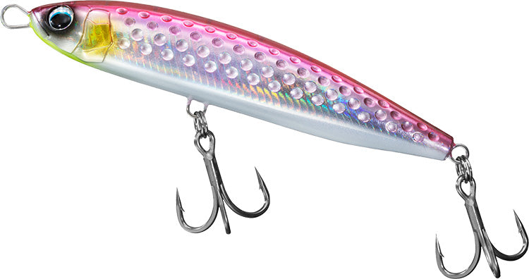 SALTIGA ROUGH RIDE HIRAMASA TUNE - DAIWA