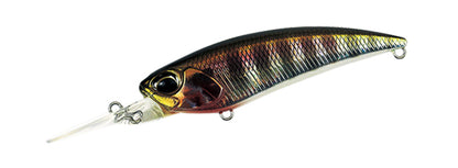 REALIS SHAD - DUO