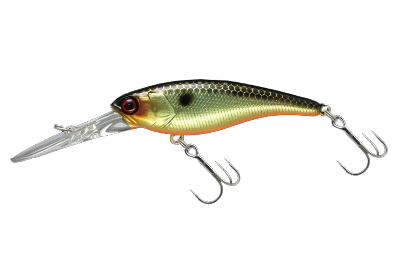SOUL SHAD - JACKALL