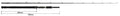 SilverStream BIG BAIT - Ripple Fisher