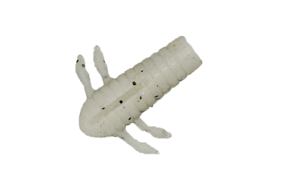 MUSHIEMON 1.4inch - DSTYLE