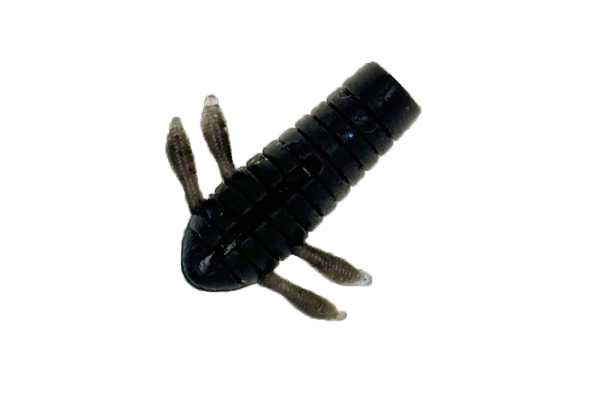 MUSHIEMON 1.4inch - DSTYLE