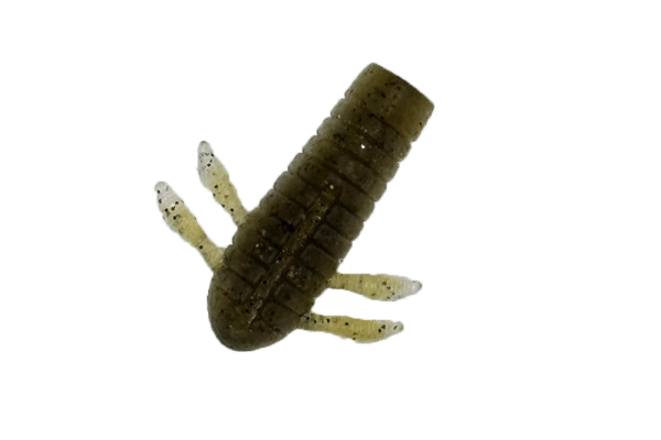 MUSHIEMON 1.4inch - DSTYLE