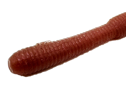 MIMI KING 6.8inch - DSTYLE