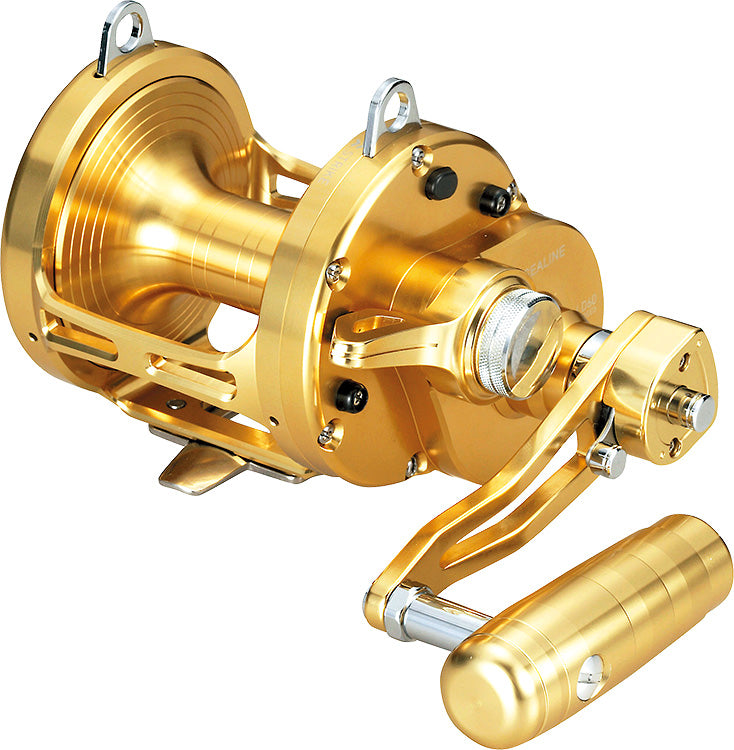 SEALINE LD60 2 SP - DAIWA