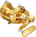 SEALINE LD60 2 SP - DAIWA