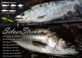 SilverStream Shore Casting - Ripple Fisher