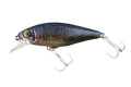 CHUBBLE - JACKALL