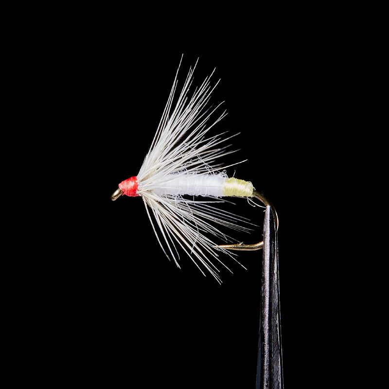 Tenkara Master Hakutsuru - VANFOOK