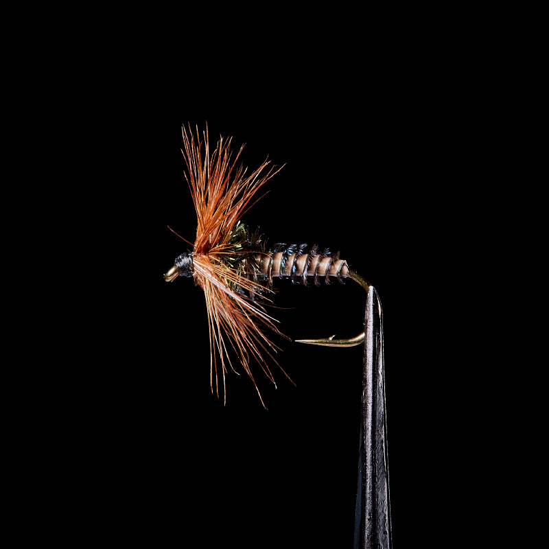 Tenkara Master Kujaku - VANFOOK