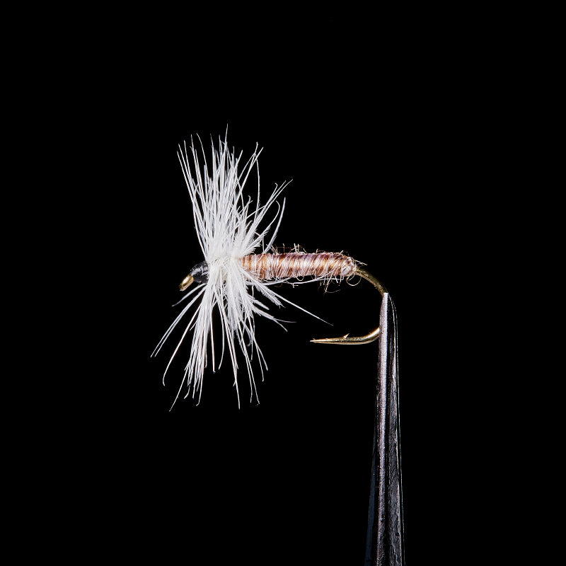 Tenkara Master Chidori - VANFOOK