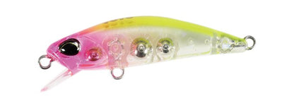 TETRA WORKS TOTO - DUO