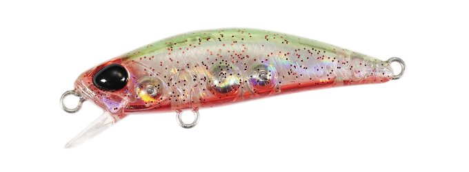 TETRA WORKS TOTO - DUO