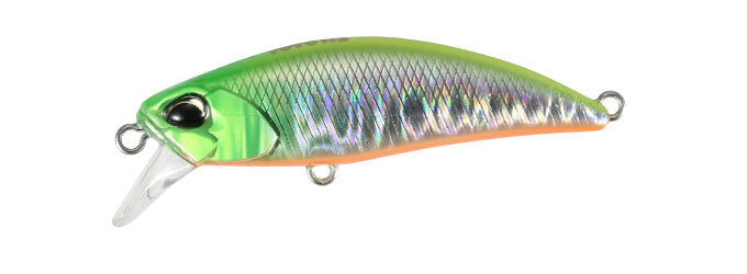 TETRA WORKS TOTO - DUO