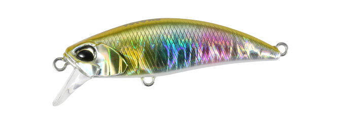 TETRA WORKS TOTO - DUO