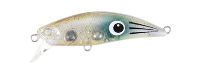 TETRA WORKS TOTO - DUO