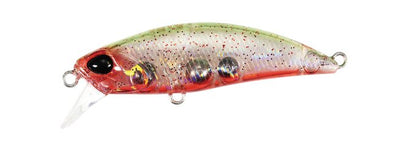 TETRA WORKS TOTO - DUO