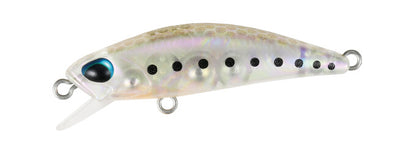 TETRA WORKS TOTO - DUO