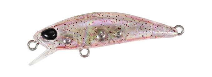 TETRA WORKS TOTO - DUO