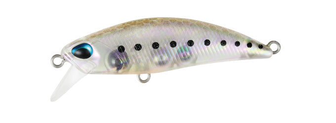 TETRA WORKS TOTO - DUO