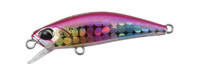 TETRA WORKS TOTO - DUO