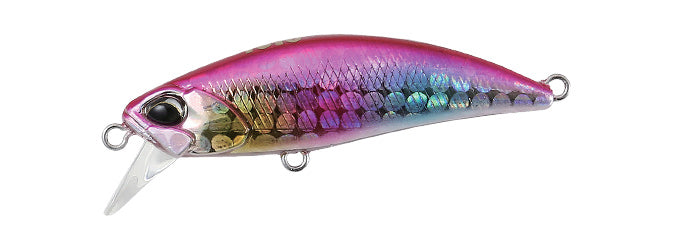 TETRA WORKS TOTO - DUO