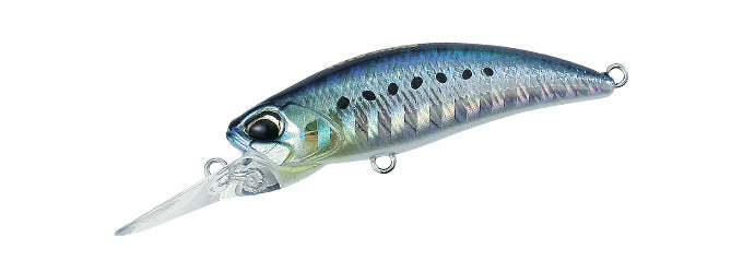 TETRA WORKS TOTOSHAD - DUO