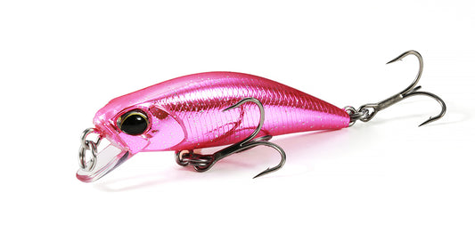 TETRA WORKS TOTO - DUO