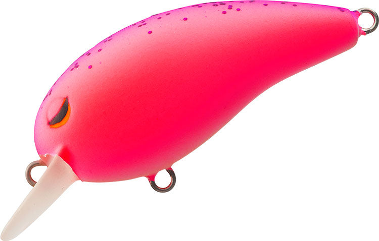 TINY PEANUT - DAIWA