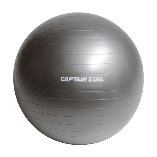 Vit Fit Fitness Ball Ø55 Silver White (UR-861) - Captain Stag