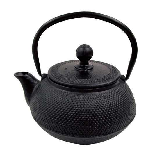Suiraku Cast Iron Teapot 650ml(with Tea Strainer) (UW-2002) - Captain Stag