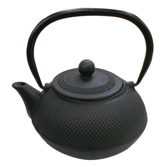 Suiraku Cast Iron Teapot 900ml(with Tea Strainer) (UW-2003) - Captain Stag