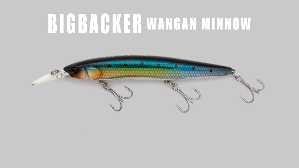 BIGBACKER WANGAN MINNOW - JACKALL