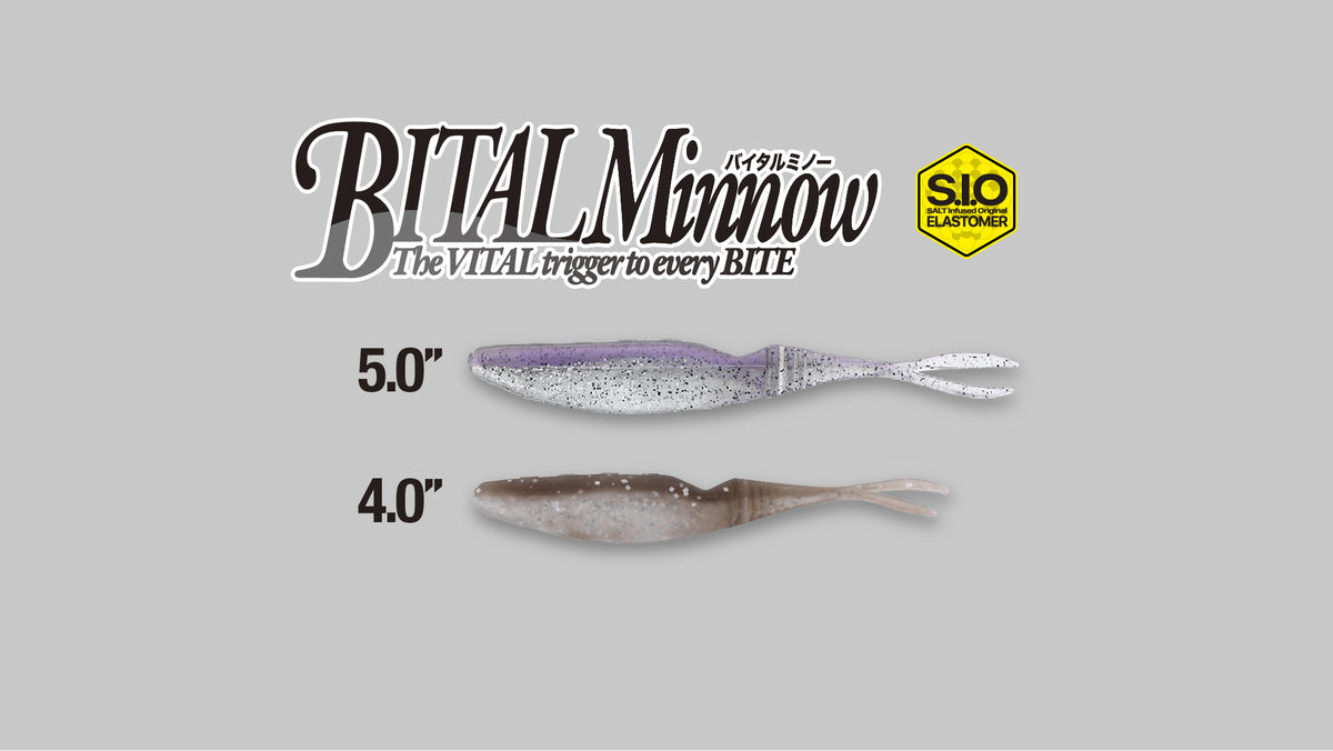Bital Minnow - JACKALL