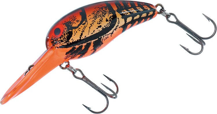 WILD PEANUT / TINY WILD PEANUT - DAIWA