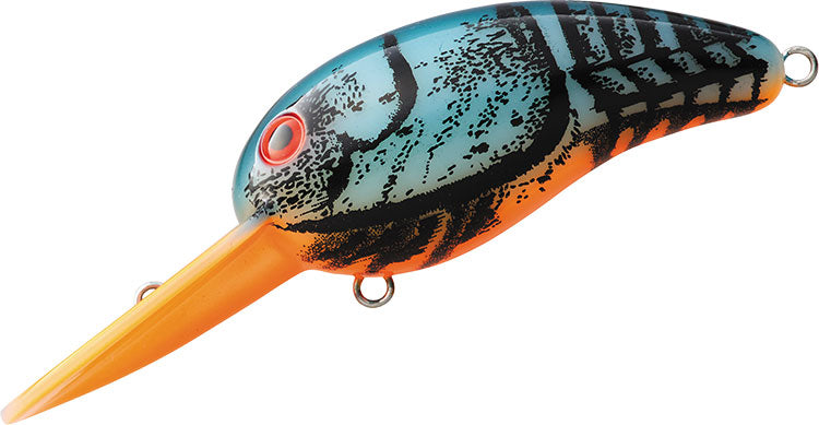 WILD PEANUT / TINY WILD PEANUT - DAIWA