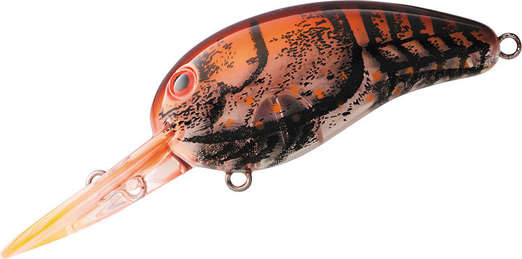 WILD PEANUT / TINY WILD PEANUT - DAIWA
