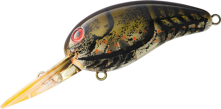WILD PEANUT / TINY WILD PEANUT - DAIWA