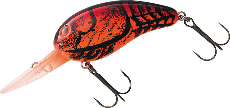 WILD PEANUT / TINY WILD PEANUT - DAIWA