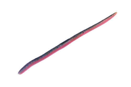 Flick Shake 6.8inch - JACKALL