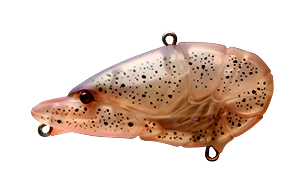 G.C. Zari Vib Jr.57 - ISSEI