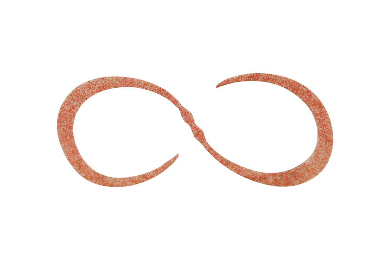 BINBINDAMA T+ NECKTIE CURLY - JACKALL