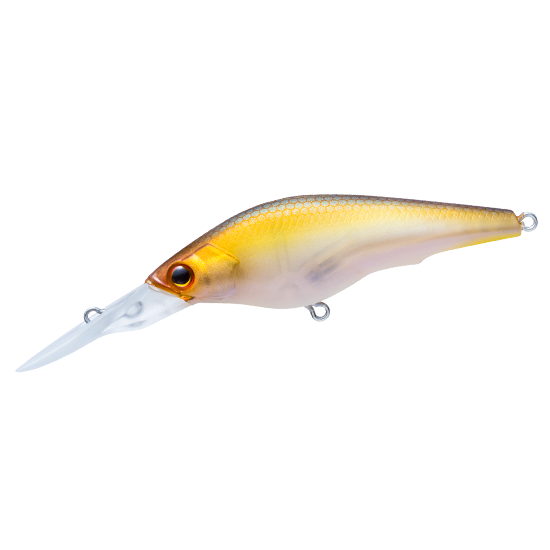 La Tour SHAD - DUEL