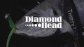 Diamond head - 34 (Thirty Four)