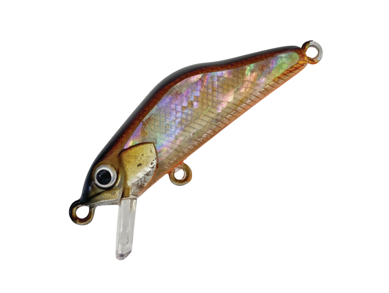 HARDSTREAMS T-Gravits Abalone - IVYLINE