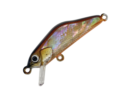 HARDSTREAMS T-Gravits Abalone - IVYLINE